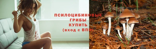 метадон Абдулино
