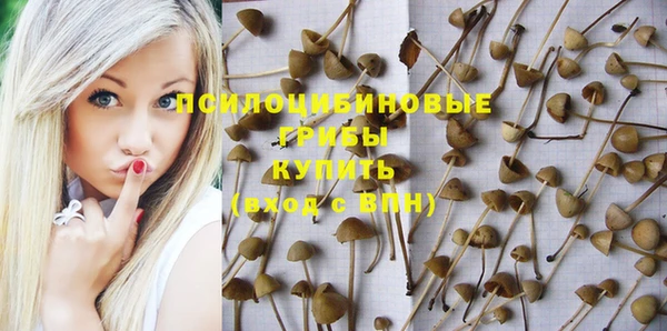 гидра Абинск